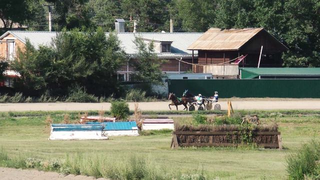 30.07.2022г.Абакан Приз Памяти Подкопаева А.А. для лошадей Орловской Рыс. породы 2-х лет 1600м