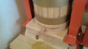 Настоящее ЖИВОЕ подсолнечное масло.  Отжим на деревянном прессе