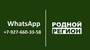 Хитрости СУДЕБНЫХ ПРИКАЗОВ // РОДНОЙ РЕГИОН 2023