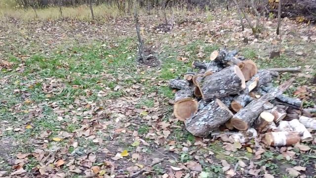 Завершение огородного сезона на проекте М.Лужки. Садовый домик. Обрезка деревьев. 23102022.