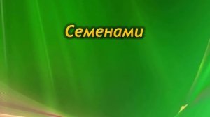 Секреты и способы размножения Гардении. Последующий уход за растением.