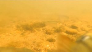 Подводная сьёмка  Вятка река