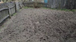 Пахота мотоблоком заводским плугом без дороботок на маленьком огородн