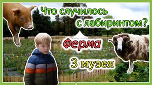 Хотели заблудиться, а негде! / Greenan Maze / Графство Уиклоу / Ирландия