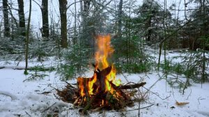 ? 4K Campfire in the Winter Forest (12 HOURS). Relaxing Campfire with Burning Logs and Fire Sounds