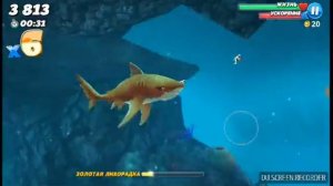 Обзор всех акул из игры Hungry shark World
