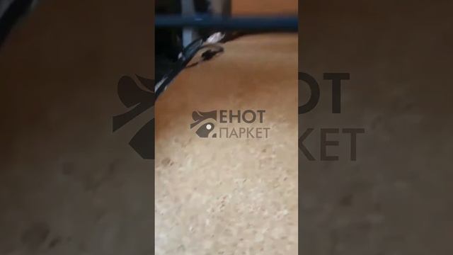 Пробковые полы в Авто?!!#ремонт #интерьер #дом #пробка #квартира #дизайн #дизайнер смотреть онлайн