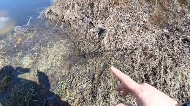 Мой пруд на участке полный и вода бежит через край!!! смотреть онлайн