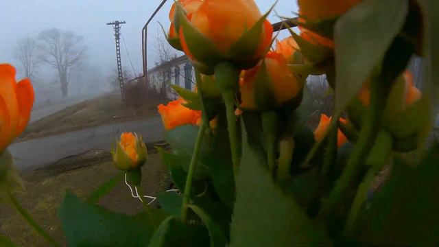 19.02.2024. День Мамы. смотреть онлайн