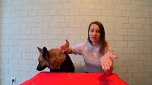 Питание в гиревом спорте для начинающих, от диетолога и мастера спорта, Марии Тарвердиевой. 2022