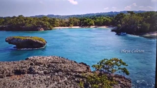 4k телевизор 55 дюймов TOSHIBA 55U5069 смотреть онлайн