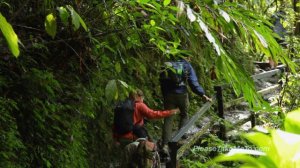 Mount Kinabalu National Park, Sabah, Malaysia