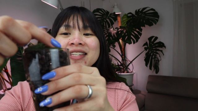 March Plant Favorites! 🌸 | The Best Indoor Plants! смотреть онлайн