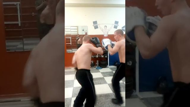 КМС ПО БОКСУ ГОТОВЯТСЯ В ПРОФЕССИОНАЛЬНУЮ ЛИГУ КУЛАЧНЫХ БОЁВ Hardcore Fighting Championship ?