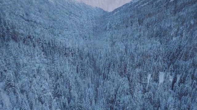 Sassine Music - A Cold Wind Blows смотреть онлайн