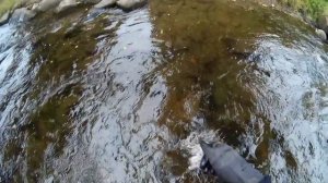 Речной коп. Часть 2.mp4