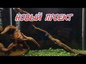 Новый проект . Креветочник 10 литров.