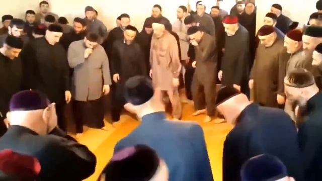 Anka in the arabica FULL | Ankha | meme смотреть онлайн