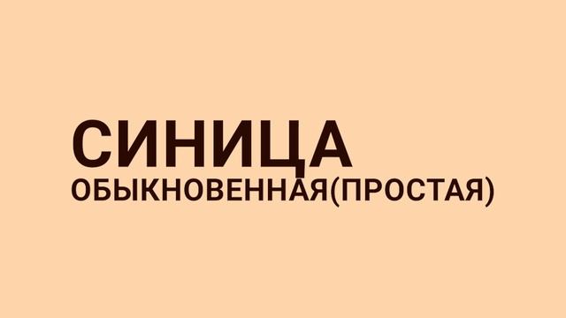 Лекция КОЛЕНА ПЕСНИ КАНАРЕЙКИ ОВСЯНОЧНОГО НАПЕВА