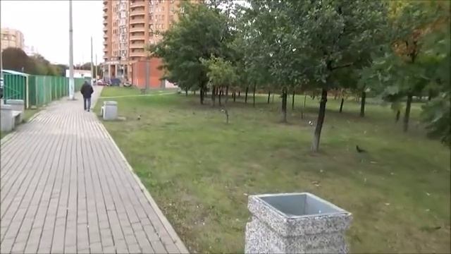 Влог.Необычные посадки у метро.Покупки для дома и для себя.Старая птичья клетка с дачи.