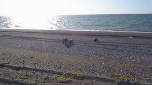 Медведица с двумя медвежатами.