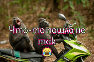 Что-то пошло не так ?