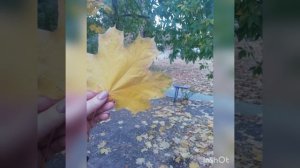 С утреца разбудил меня дворник-слова: Л.Игнатьева, музыка,исполнение: П Симаков