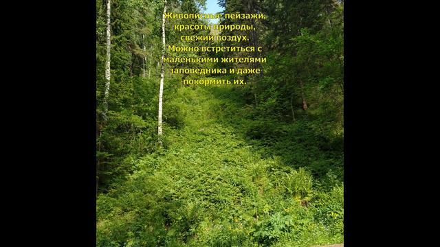 Заповедник «Столбы» Красноярск