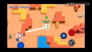 Сравневаю 2 гаджета на пайпер какой лучше!