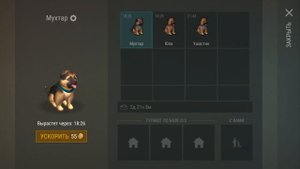 ГДЕ НАЙТИ ЩЕНКА ?! ОБНОВЛЕНИЕ 1.7.12 НАШЕЛ 3 ЩЕНКА НА ЛОКАЦИЯХ - Last Day on Earth: Survival