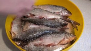 КАК ЗАСОЛИТЬ И ЗАСУШИТЬ ТАРАНЬ. САМЫЙ ПРАВИЛЬНЫЙ РЕЦЕПТ