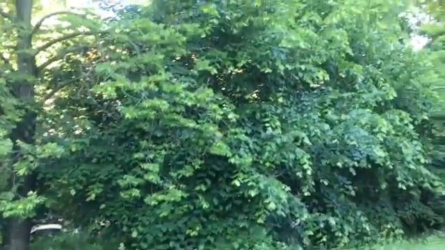 День рождения ? ПОДАРОК.ВЫШИВКА#вышивкакрестом #хобби