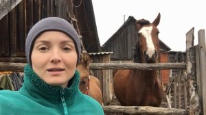 Теплые дни в деревне дают возможность для выпаса. Жизнь в деревне как есть