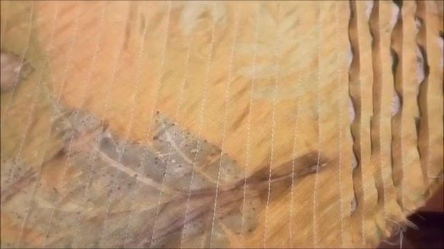 Шарф в технике синель смотреть онлайн