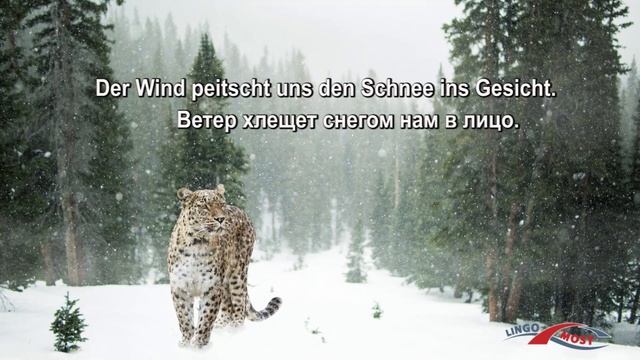 Немецкие слова и фразы по теме  Зима. Часть 1