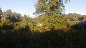 Продаётся домик с участком в деревне(хороший)) . СЕНТЯБРЬ 2021. Браславские озера.Беларусь .