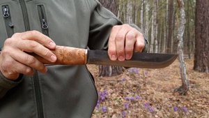 Леуку - традиционный саамский нож. Первоцветы