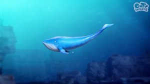 Ballena azul, el animal más grande del mundo: Faunabulozoo! Animales graciosos