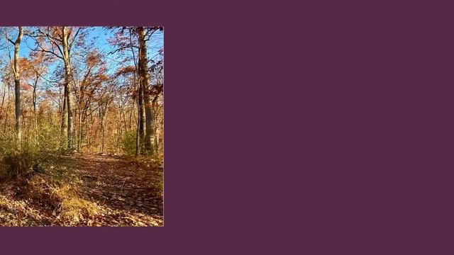 159 Hawk Trl Winchester, VA 22602 смотреть онлайн