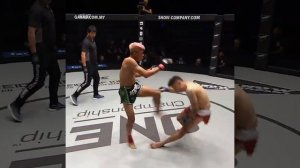 Бил хай-кик, а попал коленом! [НОКАУТ]