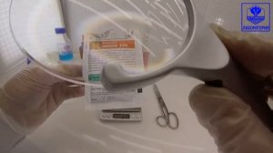 Морковь НИИОХ 336. Семетра-Поиск