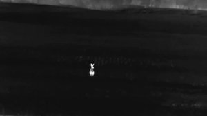 Тепловизионный бинокль Guide TN430