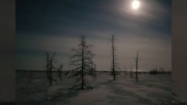 Вечерняя Ворожба - Мистическая музыка на Варгане #варган #шаманскаямузыка  #тундра #хомус
