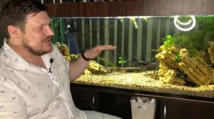 АКВАРИУМ 400 ЛИТРОВ РАССМАТРИВАЕМ