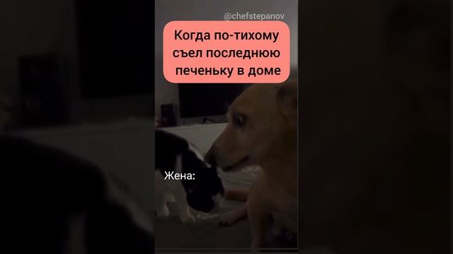 Когда муж, съел последнюю печеньку в доме. #юмор #прикол #юмор #жена