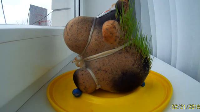 Сувенир Травянчик ускоренная съемка. смотреть онлайн