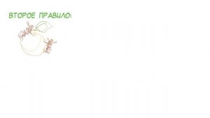 Как Выбрать Продукты БЕЗ ГМО? Список Привычных Продуктов, В Которых Есть ГМО!