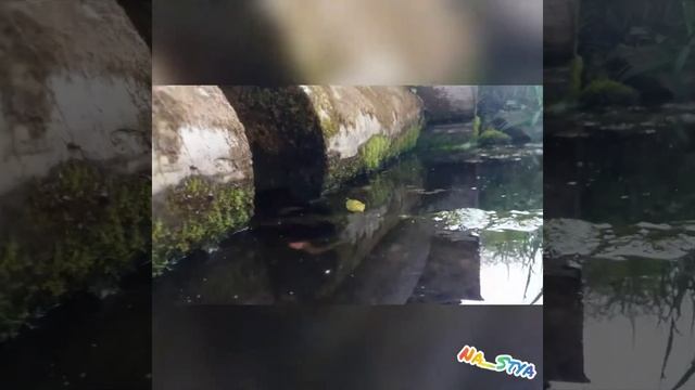 Тестируем аквабокс для телефона ?