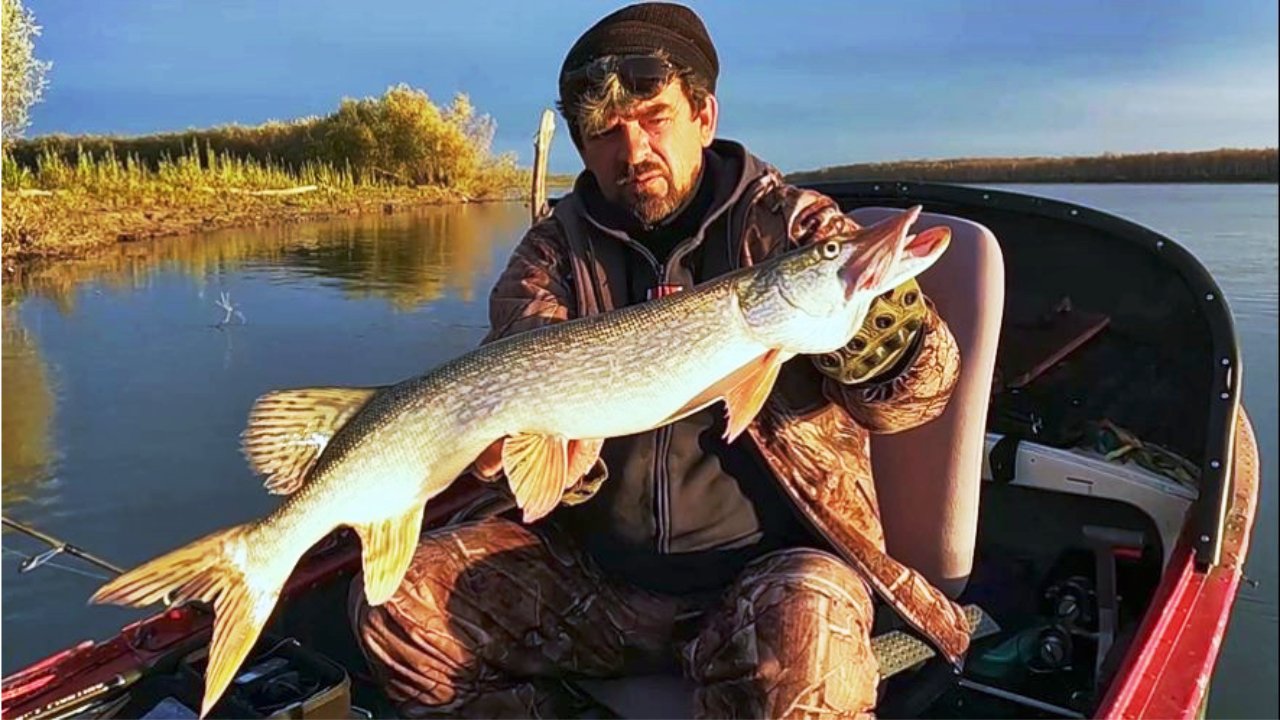 У ХИЩНИКОВ ПРОСНУЛСЯ АППЕТИТ. Комбинированная рыбалка на Оби 8 - 9 октября 2023г.