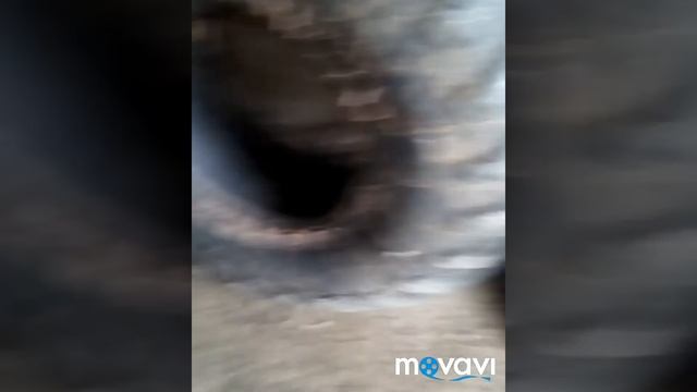 Ободрышы,шины низкого давления,трицикл,откопали колесо, вездеход.